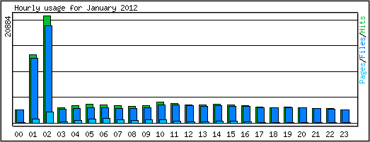 Hourly usage