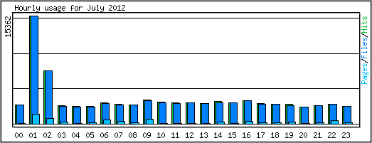 Hourly usage