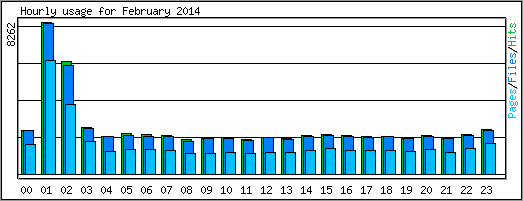 Hourly usage