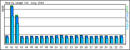 Hourly usage