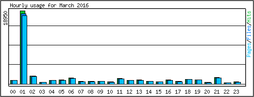 Hourly usage