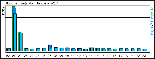 Hourly usage