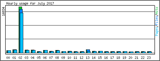 Hourly usage