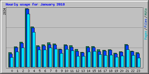 Hourly usage for January 2018